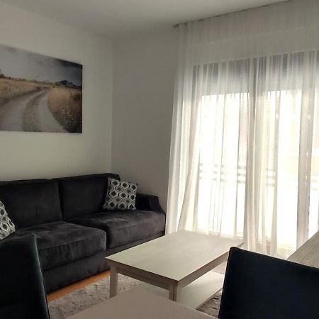 Vila Irina Kopaonik - Apartman Jovana מראה חיצוני תמונה