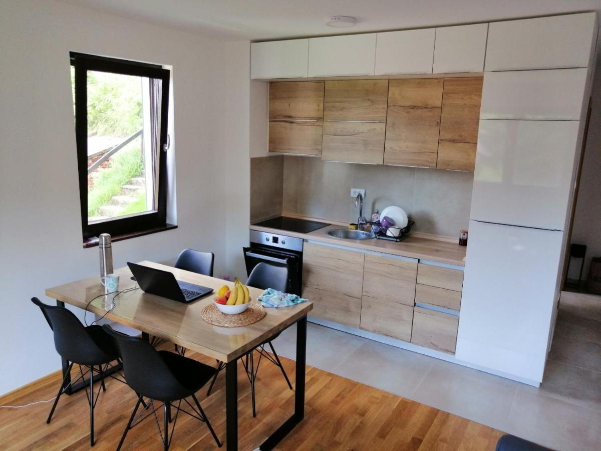 Vila Irina Kopaonik - Apartman Jovana מראה חיצוני תמונה