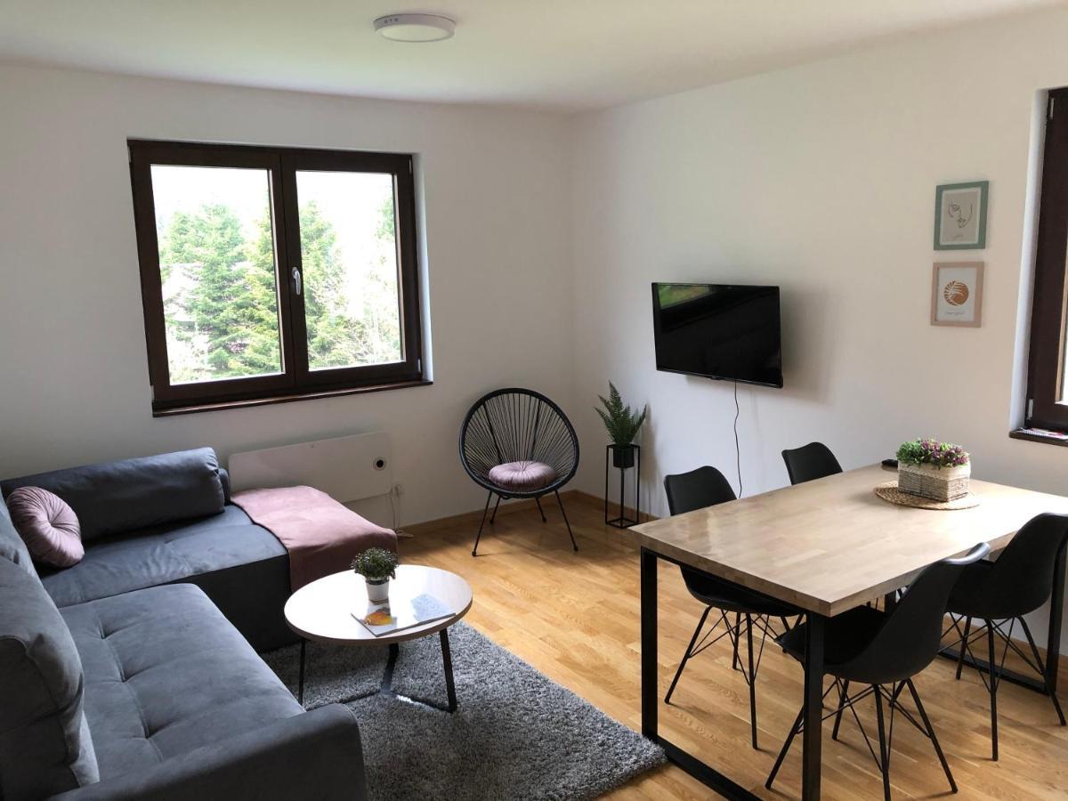 Vila Irina Kopaonik - Apartman Jovana מראה חיצוני תמונה
