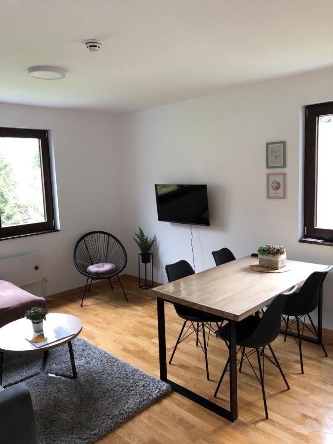 Vila Irina Kopaonik - Apartman Jovana מראה חיצוני תמונה