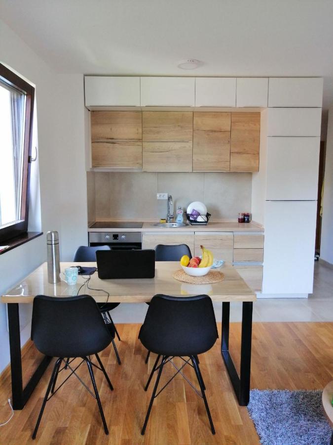 Vila Irina Kopaonik - Apartman Jovana מראה חיצוני תמונה