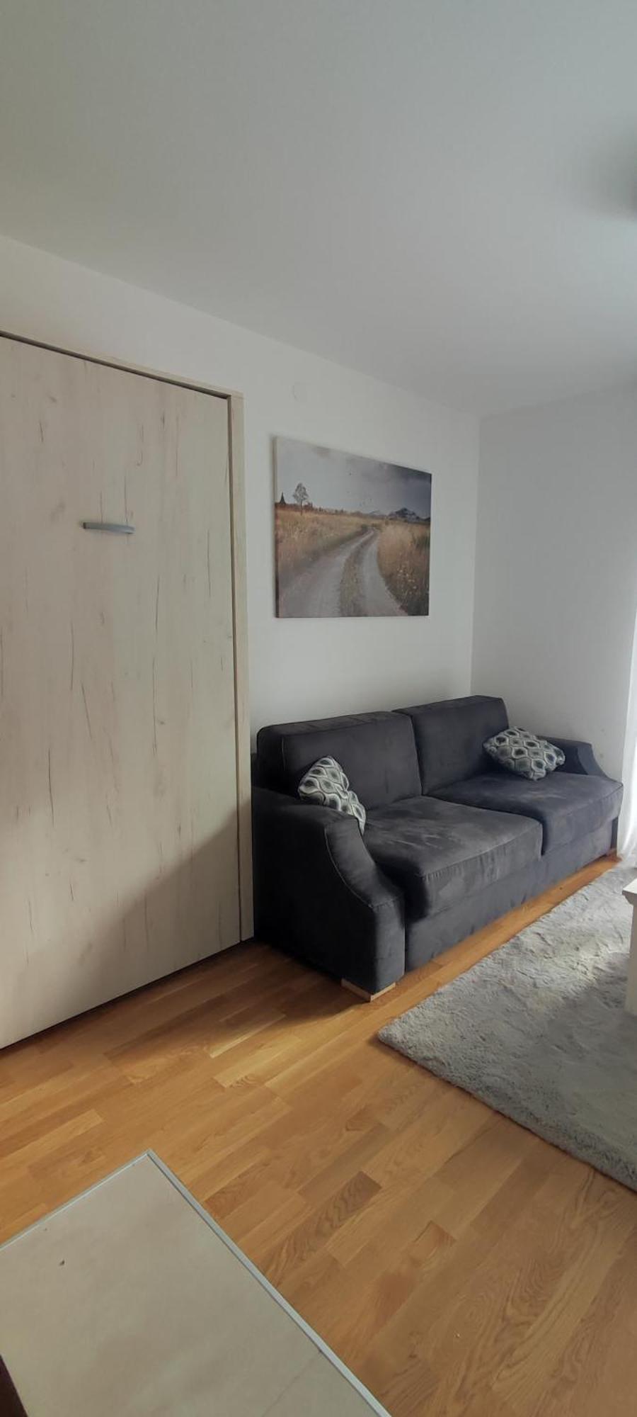 Vila Irina Kopaonik - Apartman Jovana מראה חיצוני תמונה