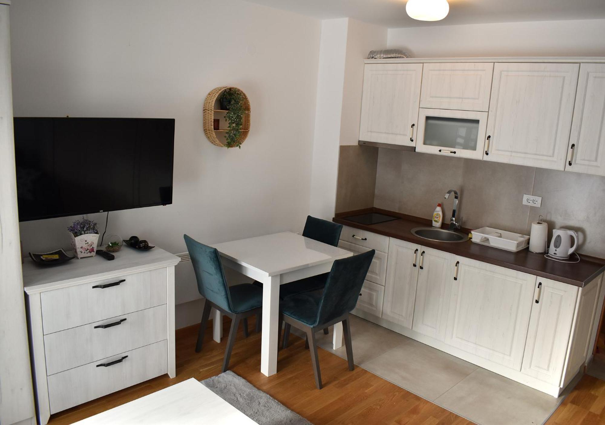 Vila Irina Kopaonik - Apartman Jovana מראה חיצוני תמונה